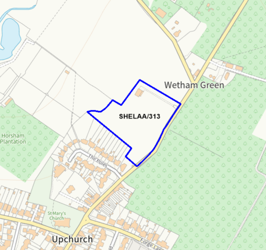 A map showing the location of SHELAA/313 outlined in blue