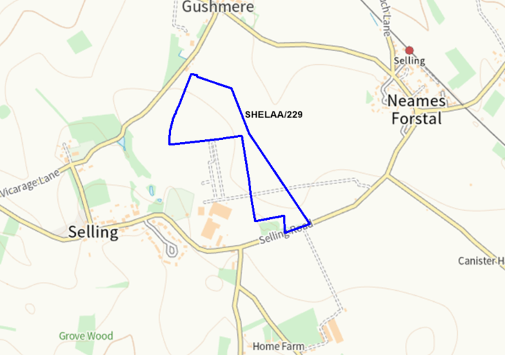 A map showing the location of SHELAA/229 outlined in blue