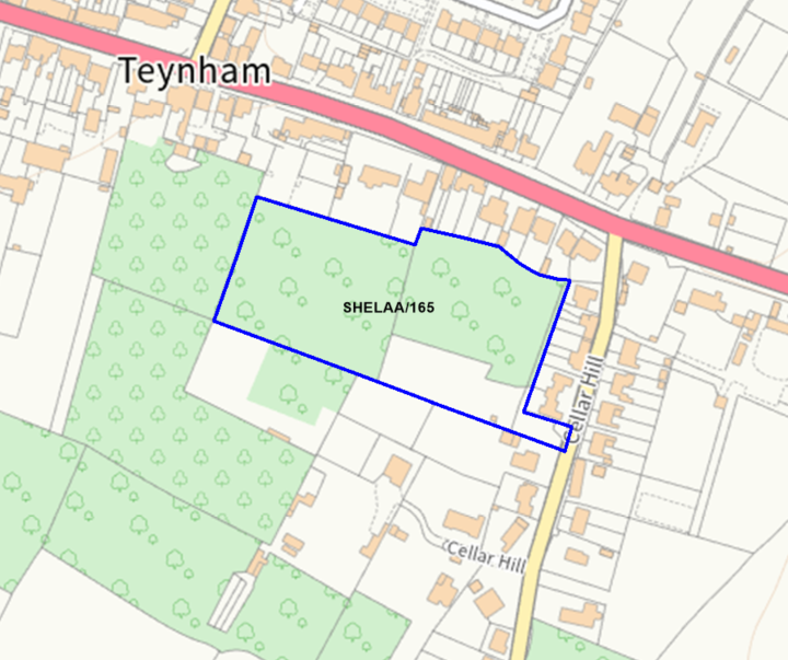 A map showing the location of SHELAA/165 outlined in blue